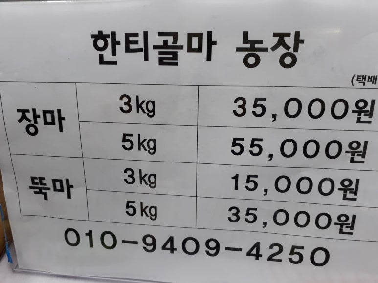 한티골마 이미지