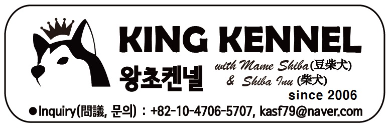 우메마루 이미지