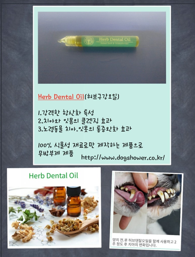 대성사우나 미용실 이미지