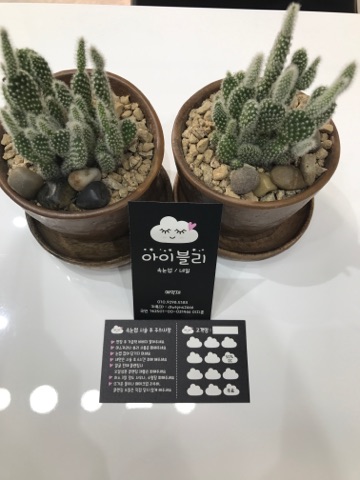 아이블리 이미지