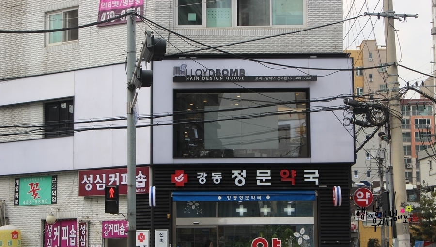 로이드 천호점 이미지