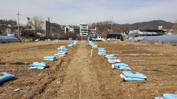 율동농장 이미지