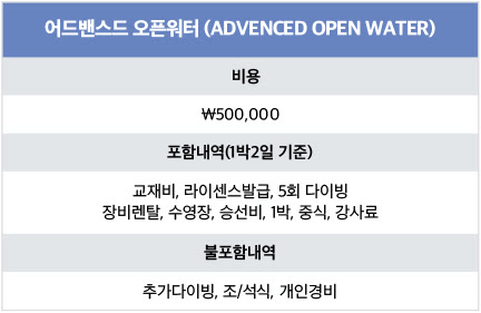 블루라군다이브 이미지