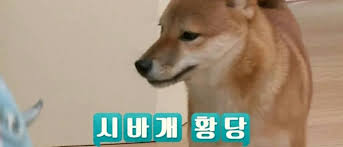 책바라지 이미지