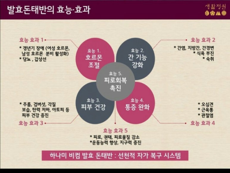 하나미 이미지