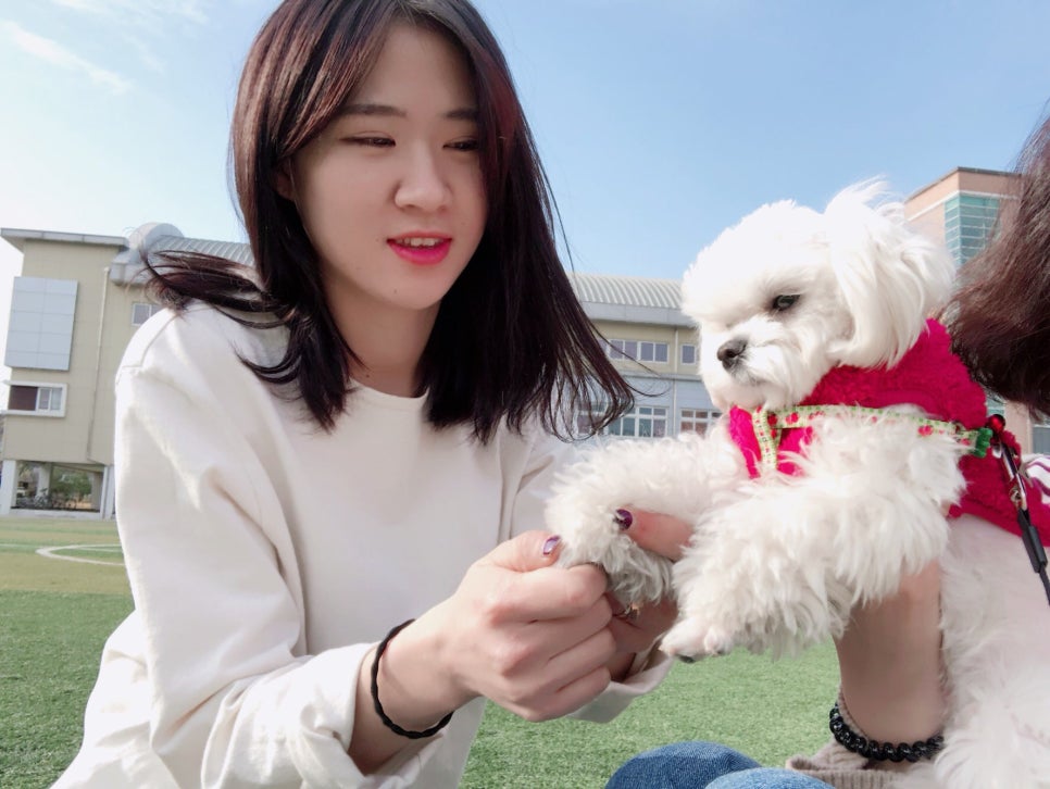 포산고등학교 이미지