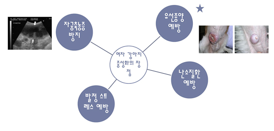 광주동천병원 이미지