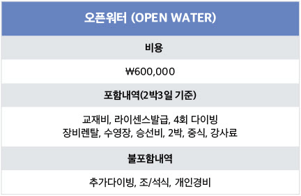 블루라군다이브 이미지