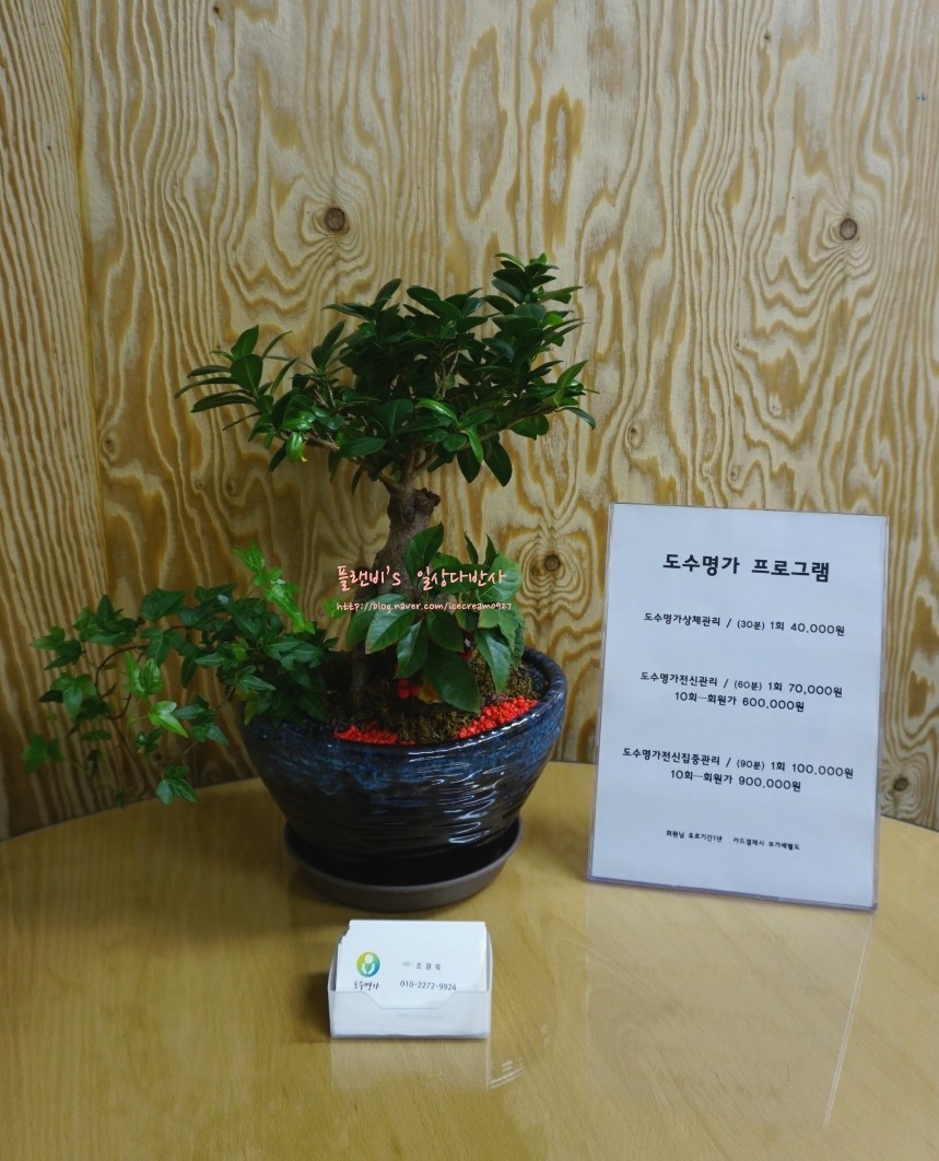 도수명가 이미지