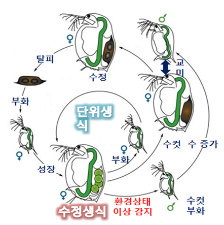 동진식품(주) 이미지