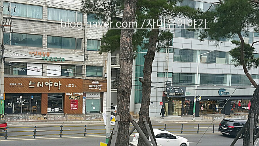 네파울산중구 이미지