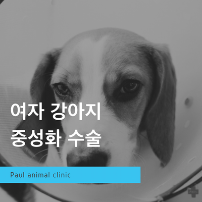 광주동천병원 이미지