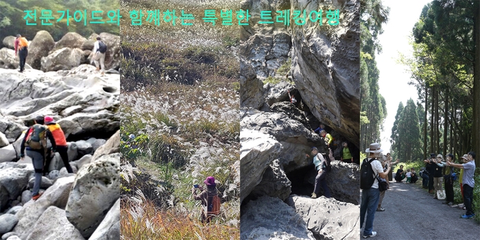 제주일오칠 이미지