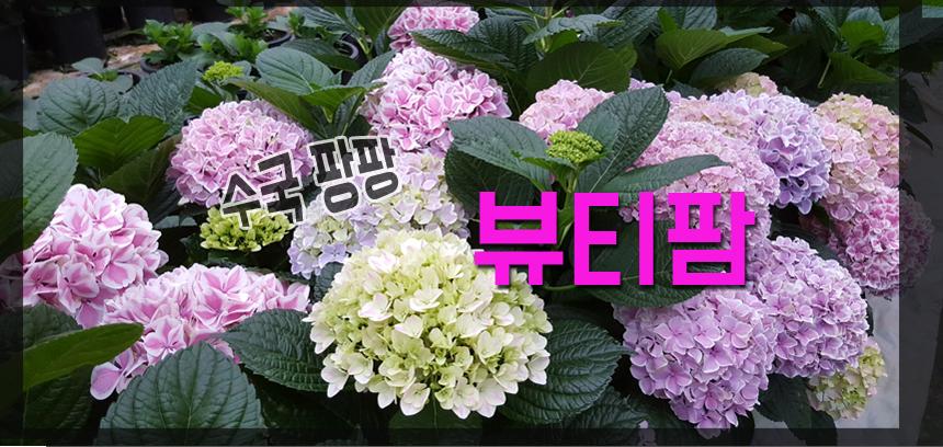디자인농장 이미지