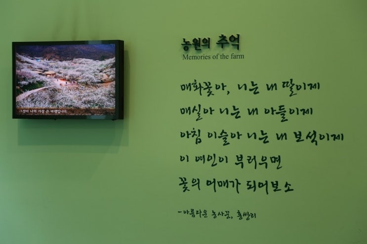 섬진강캠핑장 이미지