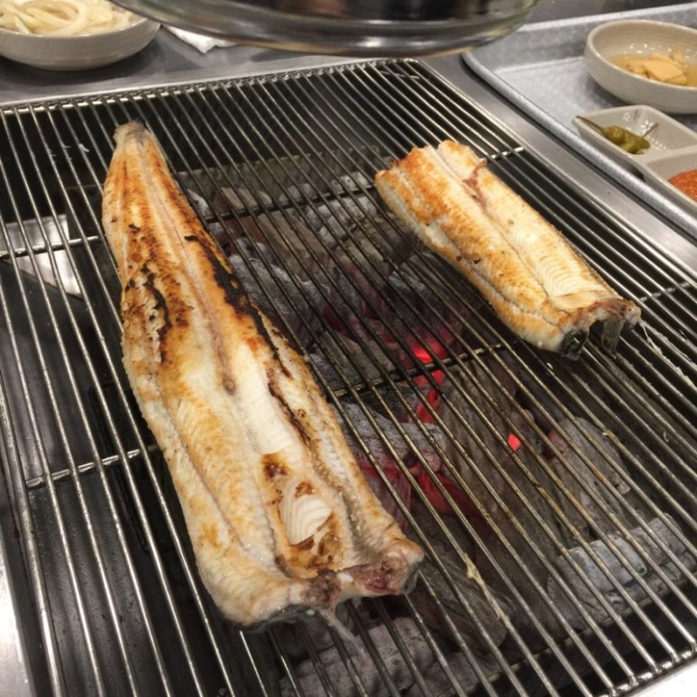 백마강민물장어 이미지