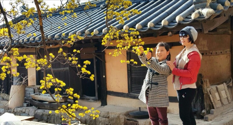 마골댁 이미지
