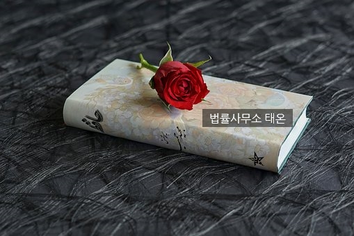 법률사무소태온 이미지