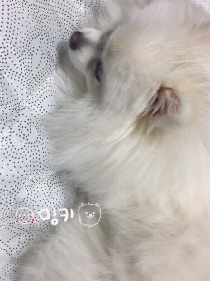두둥 이미지