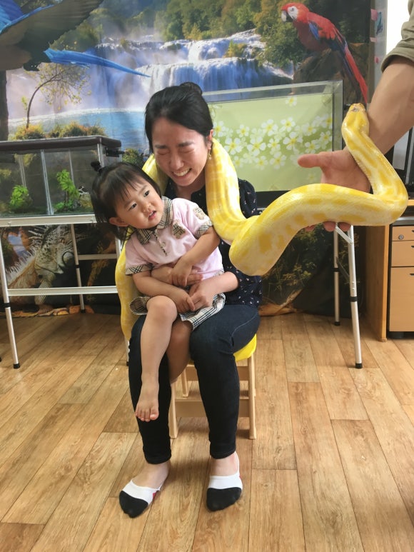 광교느티나무어린이집 이미지