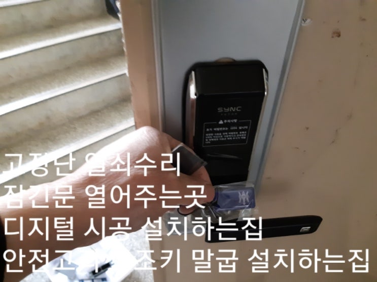 대영구두 이미지
