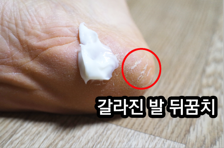 명품헬스팜 이미지