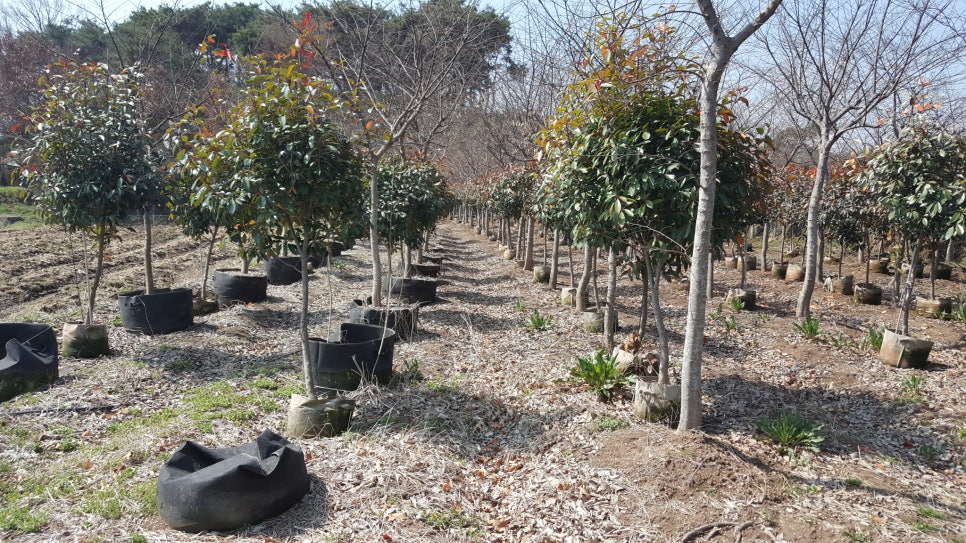 산림조합중앙회 진안교육원 이미지