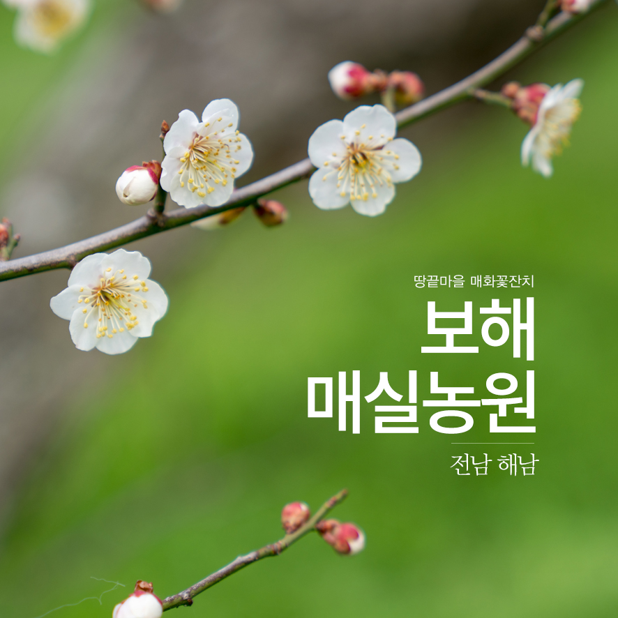 땅끝매실농장 이미지