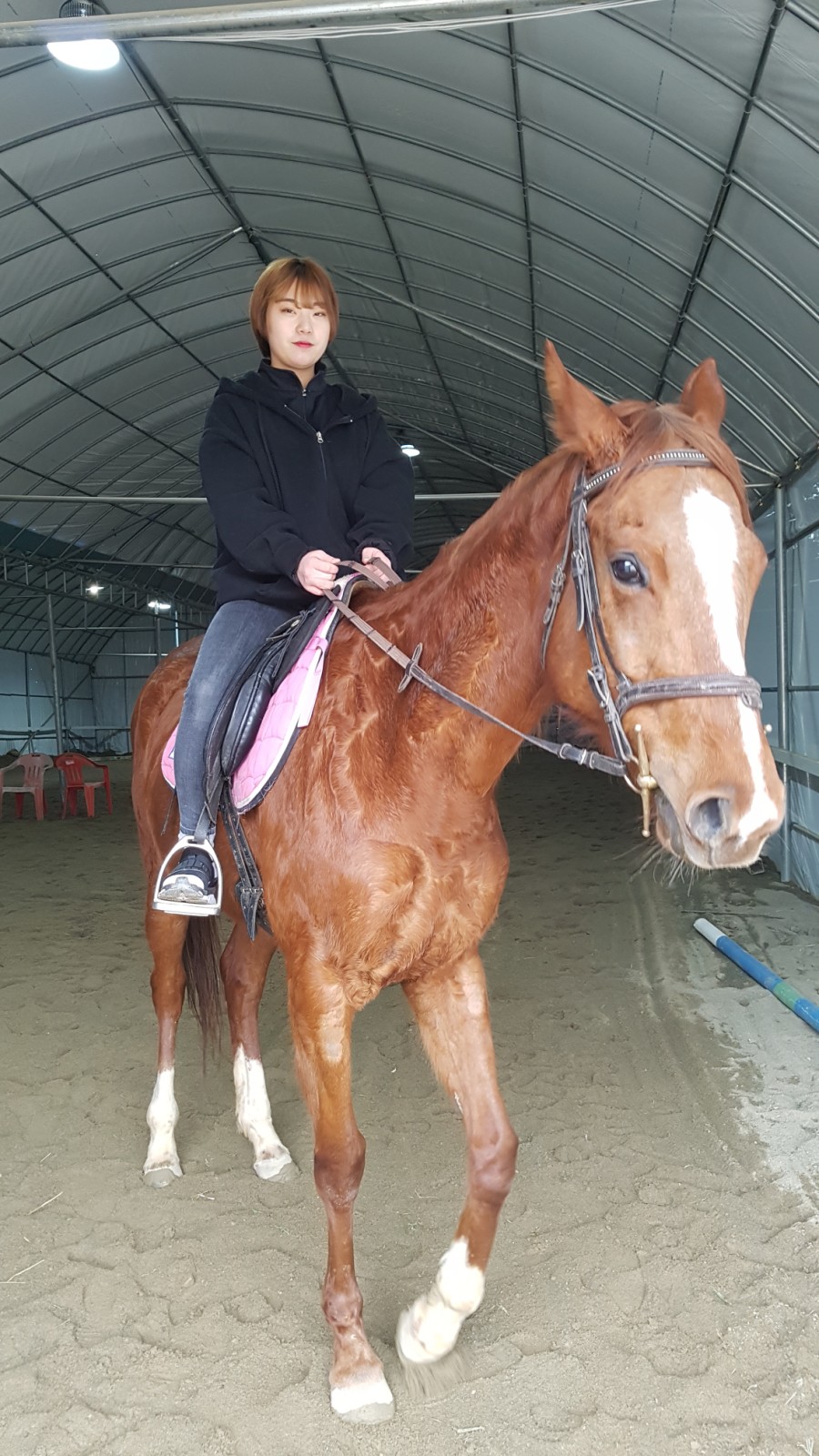 용인포니클럽 이미지