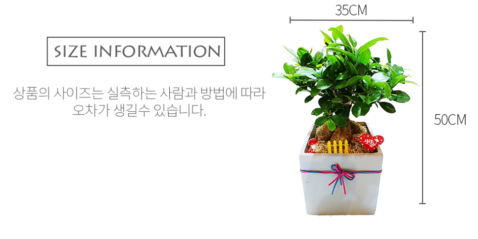 남양꽃집힐링플라워 이미지