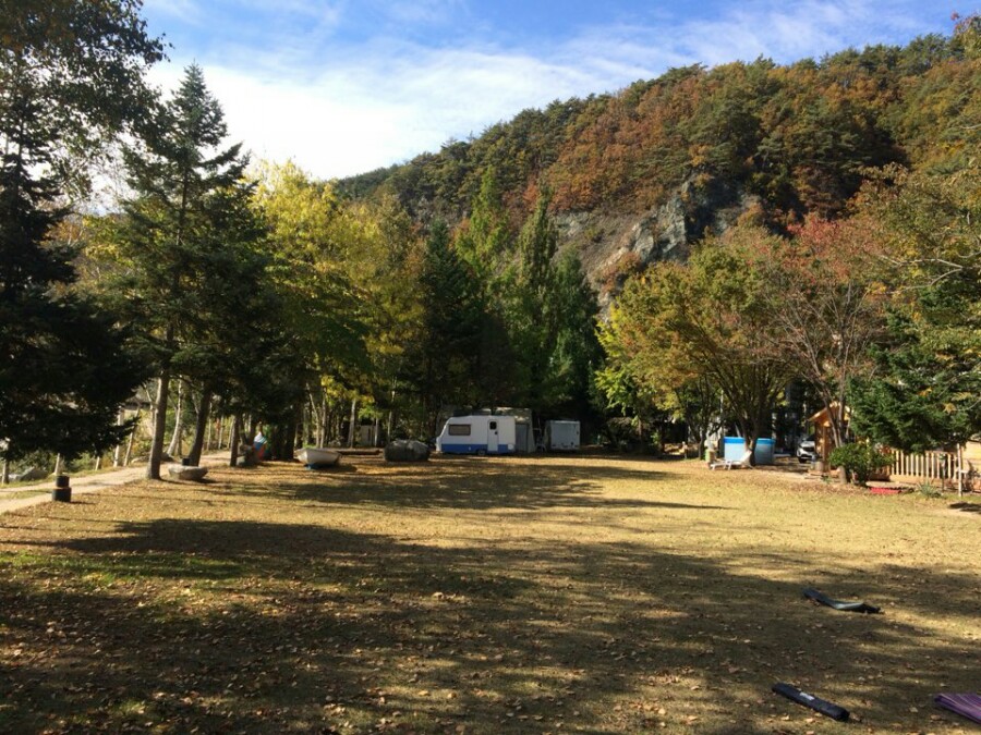 자작나무관광농원 이미지