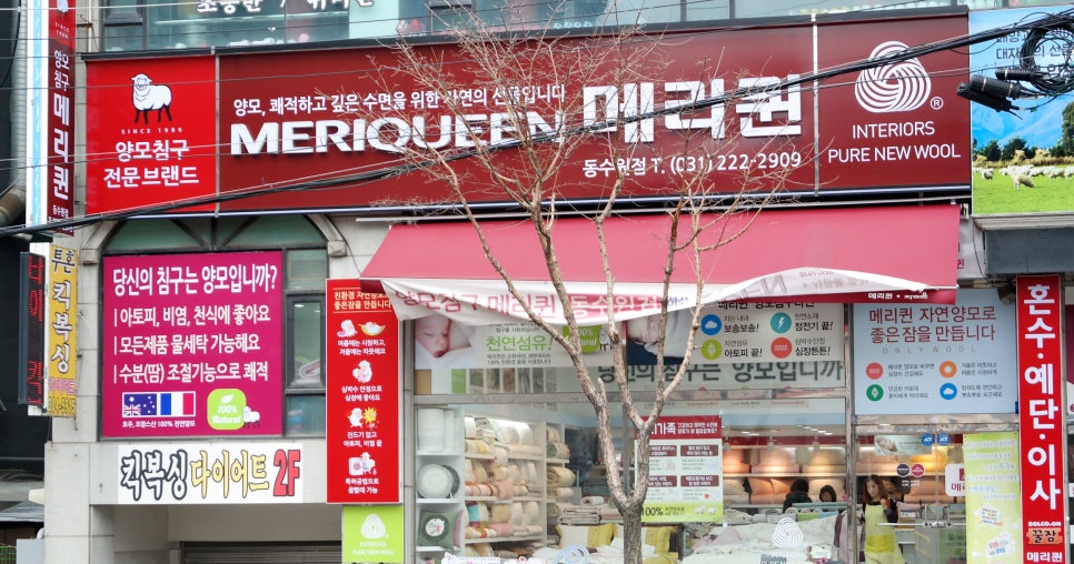 메리퀸동 이미지
