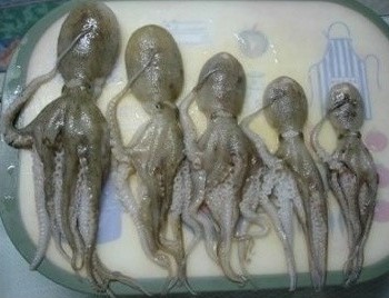 고트럭 이미지