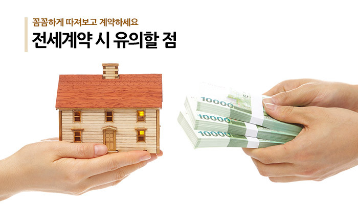 티아이피 이미지