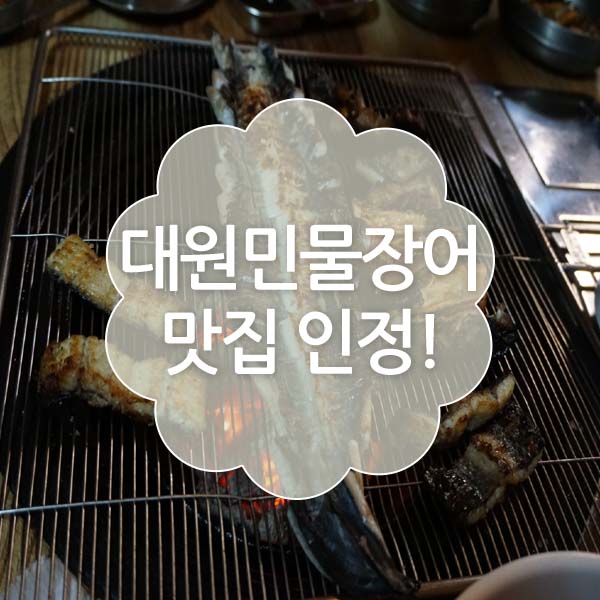 대원민물장어 이미지