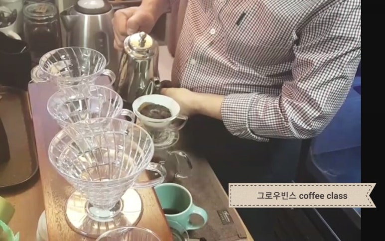 그로우빈스 이미지
