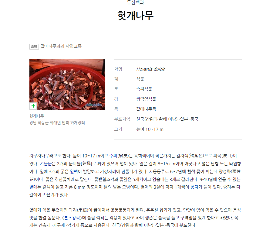 아침에 녹즙 이미지