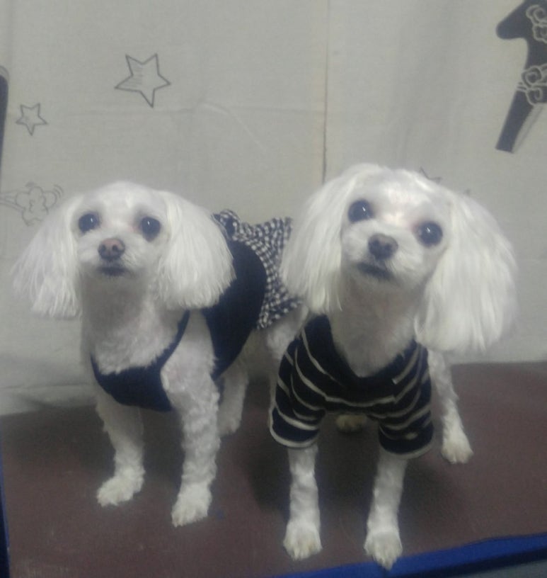 대성사우나 미용실 이미지