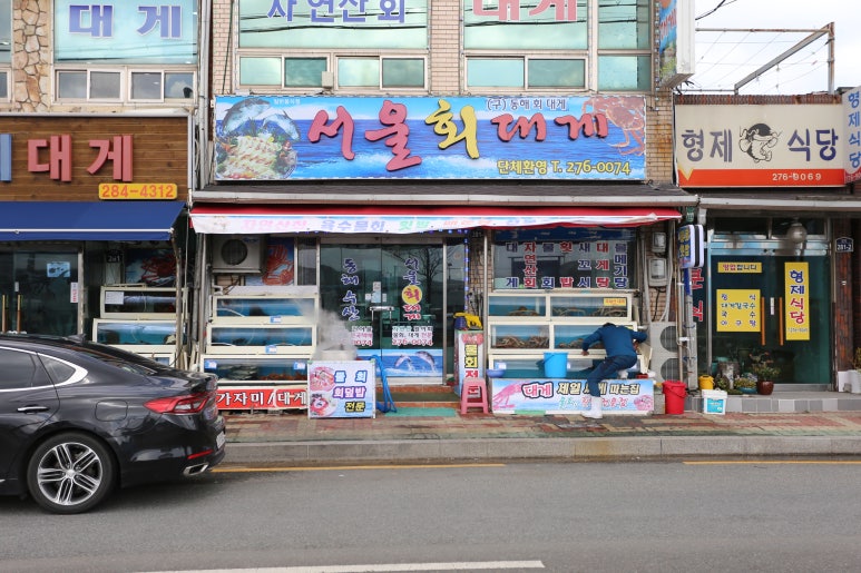 서울.회.대게 이미지