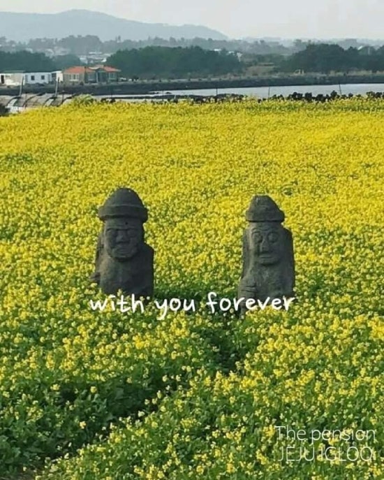 제주이글루 이미지
