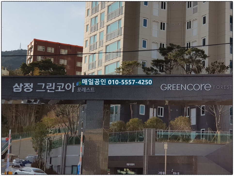 코포레스트 이미지