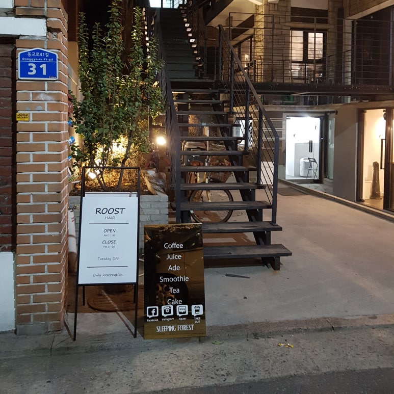 슬리핑포레스트 이미지