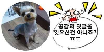 디아노이테 이미지