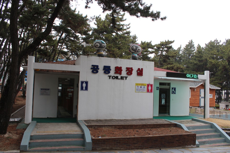 대천해수욕장 야영장 이미지