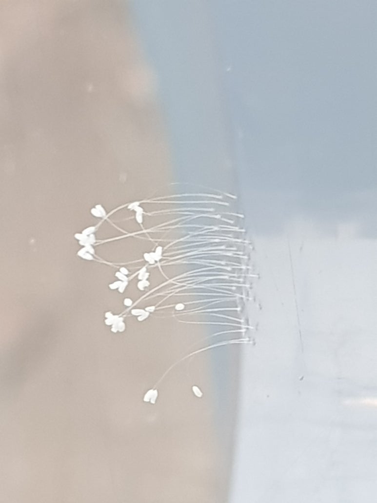 노을북스 이미지