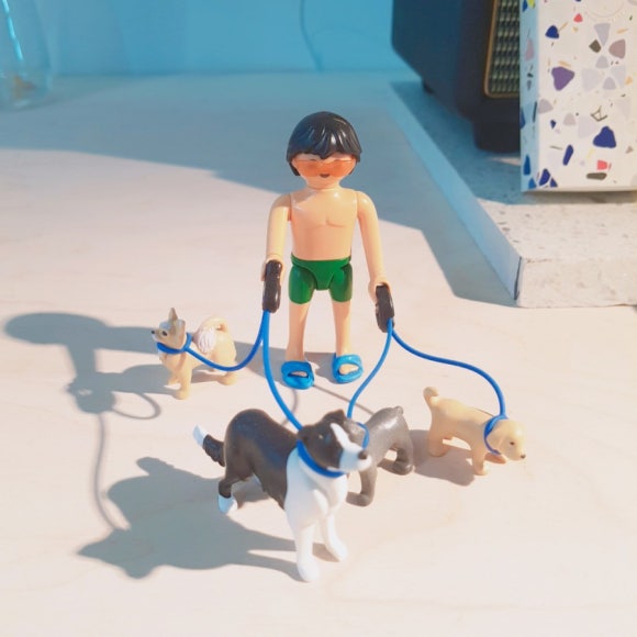 이현경애견미용학원 이미지