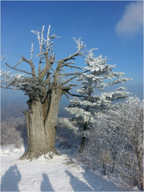 태백산 전경 이미지
