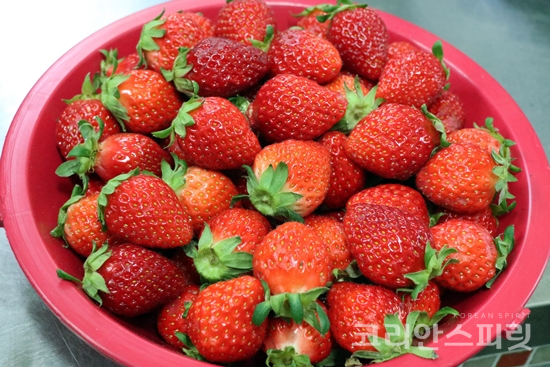 사단법인기운차림봉사단 이미지