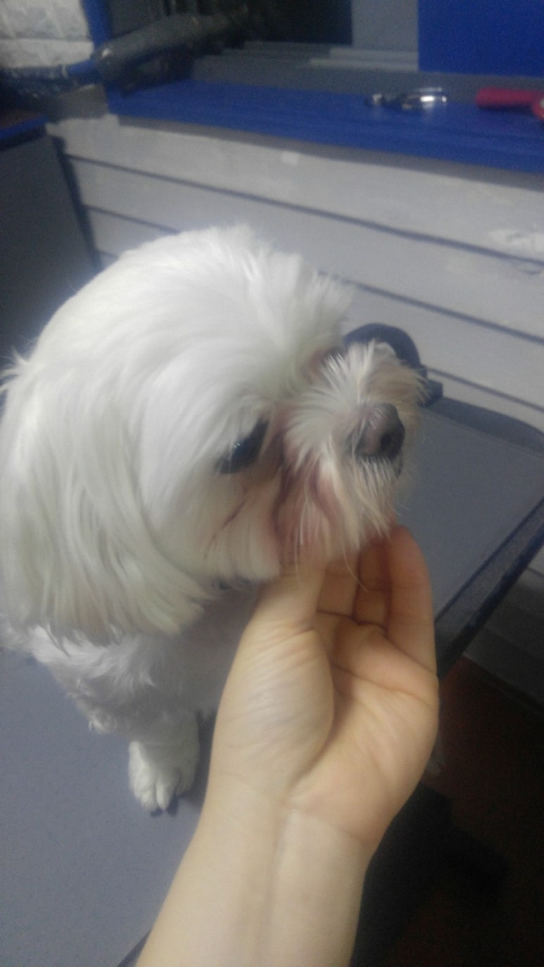 대성사우나 미용실 이미지