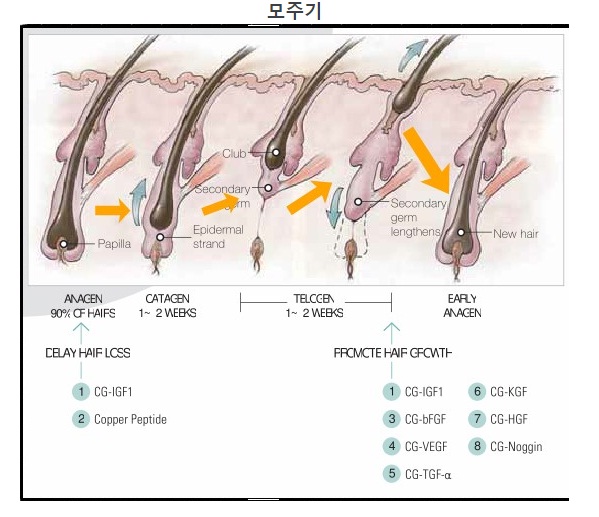 닥터플러스 이미지